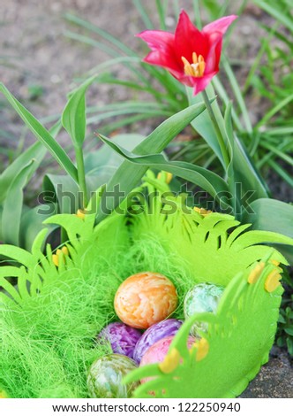 Painted Colorful Easter Egg in green basket under sunshine