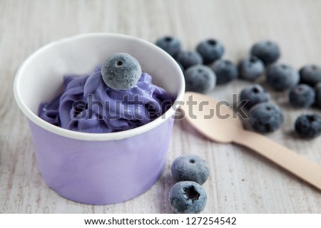 Serving of frozen creamy ice yoghurt  with whole fresh blueberries and wooden spoon