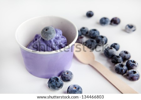 Serving of frozen creamy ice yoghurt  with whole fresh blueberries and wooden spoon