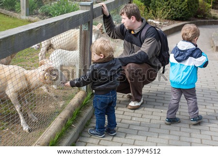 Two little cute boys and young father feeding animals in zoo