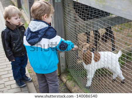 Two little cute boys  feeding animals in zoo