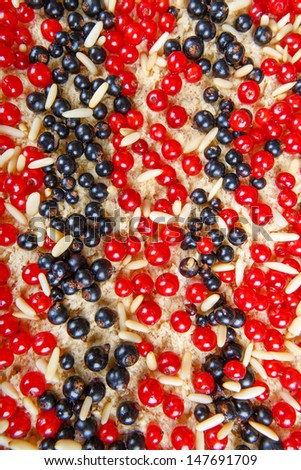 Fresh made red and black currant berries cake prepared for baking
