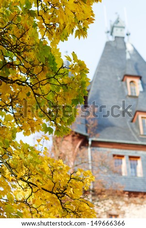 Yellow maple trees in park in Germany with castle in background
