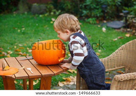 Adorable toddler boy with halloween pumpkin in garden