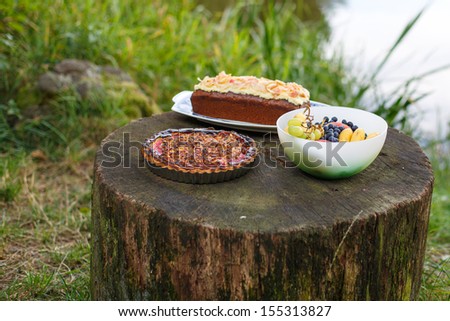 Food for picknick in nature: quiche with tomato, cake and fruits. Summer.