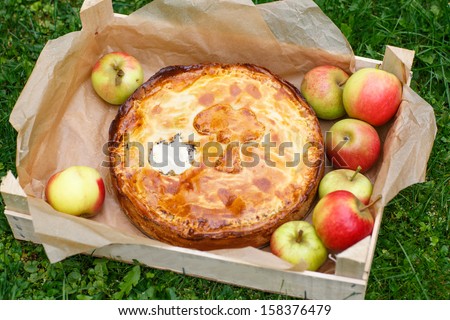 Fresh baked apple pie with poppy seeds and apples