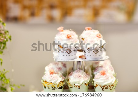 Wedding cake and cupcakes on event or reception party