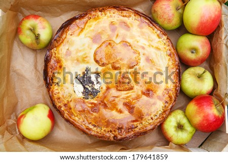 Homemade baked apple pie with poppy seeds and apples in wooden box with fresh fruits