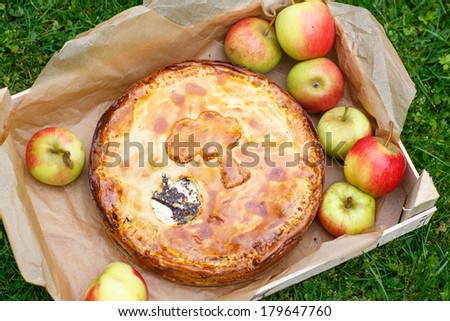 Fresh baked apple pie with poppy seeds and apples