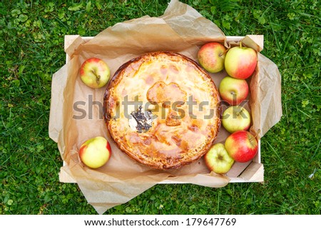 Homemade baked apple pie with poppy seeds and apples in wooden box with fresh fruits