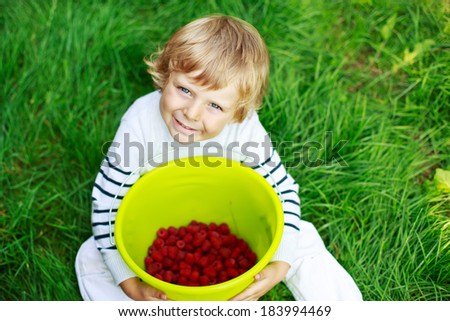 Funny little toddler boy on pick a berry farm picking ripe raspberries, outdoors