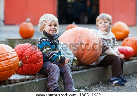 Two little boys having fun with pumpkins on pumpkin patch on farm. Selective focus on one boy.