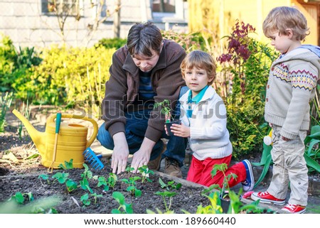 Happy family of three: Two little boys and father planting seeds and seedlings in vegetable garden, outdoors