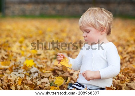 Adorable baby boy playing with yellow leaves in autumn park on sunny day