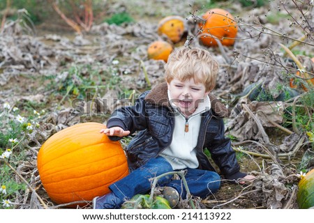 Happy little toddler boy crying on pumpkin patch on cold autumn day, with a lot of pumpkins for halloween or thanksgiving