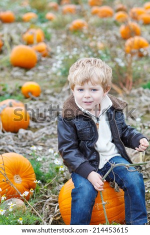 Smiling toddler boy sitting on pumpkin patch on cold autumn day, with a lot of pumpkins for halloween or thanksgiving
