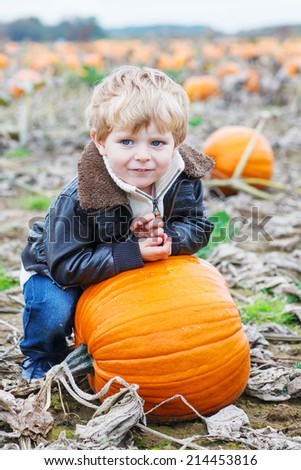 Happy little boy with huge pumpkin on pumpkin patch on cold autumn day, with a lot of squats for halloween or thanksgiving