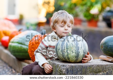 Little cute kid boy dreaming with huge pumpkin on halloween or thanksgiving harvest festival or patch, outdoors