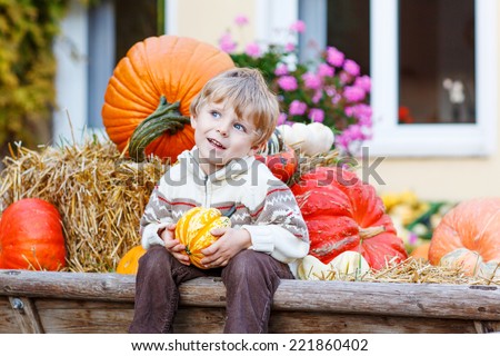 Little cute kid boy sitting with different pumpkins on halloween or thanksgiving harvest festival or patch, outdoors