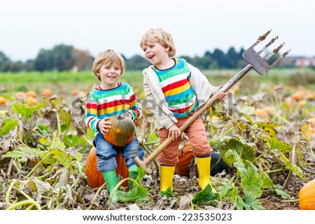 Two little kids boys sitting on big pumpkins on autumn day, choosing squash for halloween or thanksgiving on pumpkin patch. Having fun with farming.