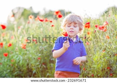 Cute kid boy with poppy flower on poppy field on warm summer day. Warm evening light.