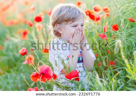 Cute kid boy laughing on poppy field on warm summer day. Warm evening light.