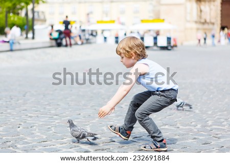 Cute little blond boy catching and playing with pigeons on a city place