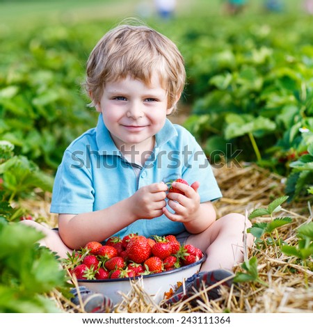 Happy little toddler boy on pick a berry farm picking strawberries in bucket, outdoors. Funny kid eating fresh organic berries. On sunny warm summer day.