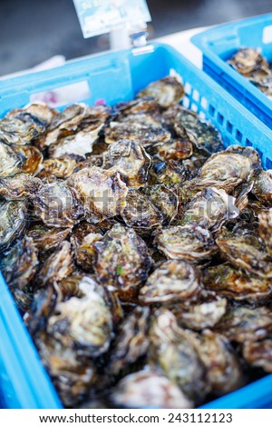 fresh oysters on mediterranean street market. Organic local seafood