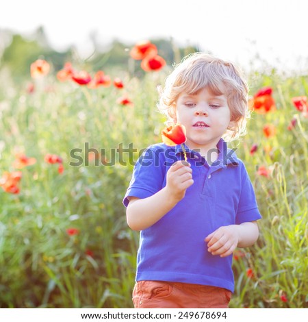 Cute kid boy with poppy flower on poppy field on warm summer day. Warm evening light.