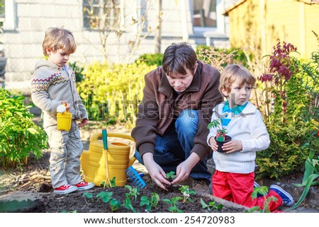 Happy family of three: Two little boys and father planting seeds and seedlings in vegetable garden, outdoors Active leisure with kids, learning gardening and environment.
