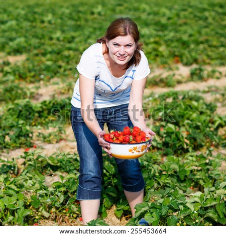 Happy young woman on pick a berry farm picking strawberries in bowl, outdoors. fresh organic berries. On sunny warm summer day.