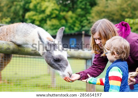 Happy little blond kid boy and his mother feeding big lama on an animal farm. Warm summer day. Active family leisure with children outdoors.
