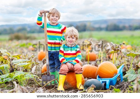Two little friends sitting on big pumpkins on autumn day, choosing squash for halloween or thanksgiving on pumpkin patch. Kid boys having fun with farming.