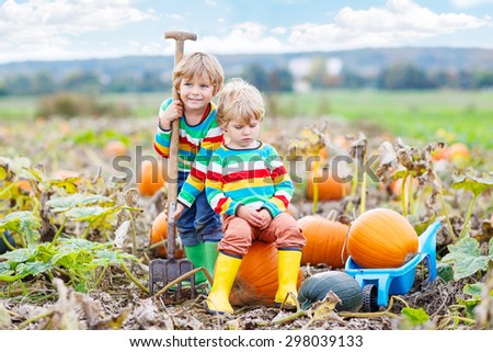 Two little kids boys sitting on big pumpkins on autumn day, choosing squash for halloween or thanksgiving on pumpkin patch. Having fun with farming.