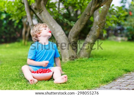 Little blond kid boy having fun with picking cherries in domestic garden on warm summer day, outdoors. Healthy snack for children in summer. Kids helping in garden.