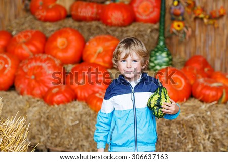 Little blond kid boy holding green pumpkin on halloween or thanksgiving harvest festival or patch, outdoors