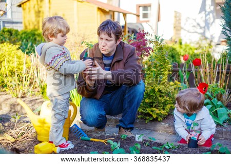 Happy family of three: Two little kids boys and dad planting seeds and seedlings in vegetable garden, outdoors. Man and sons, twins having fun with gardening in spring.