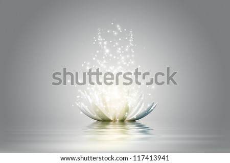 Magic Lotus Flower