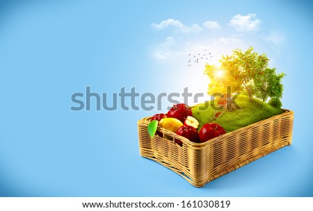 Fresh Fruits In The Basket. Summer Collage