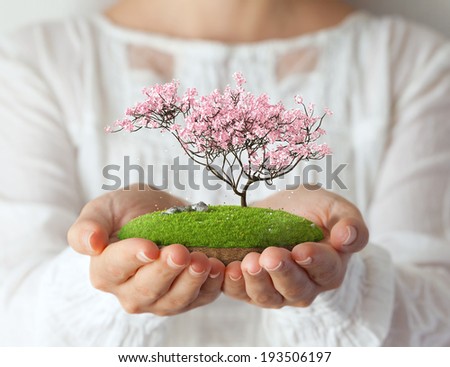 Small fantastic island with pink tree in women's hands Sakura Small fantastic island with pink tree in women's hands Sakura