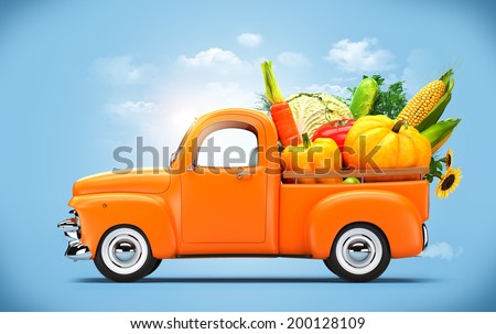 Pickup truck loaded by vegetables.