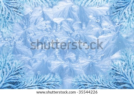 jack frost ice crystal patterns & snowy spruce branch tips