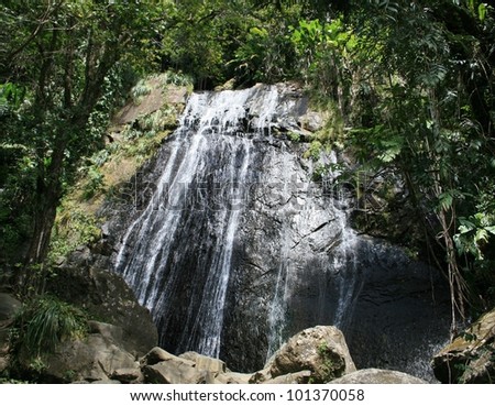 Waterfall in a rain forest, El Yunque National Forest, Puerto Rico