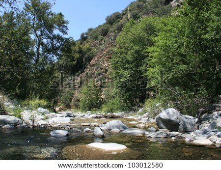 Stream in Cattle Canyon, San Gabriel Mountains, California