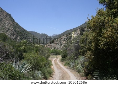 Road through Cattle Canyon with trees, grass and yuccas, San Gabriel Mountains, California