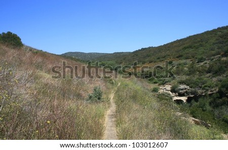 Trail through Deer Canyon, Crystal Cove State Park, California