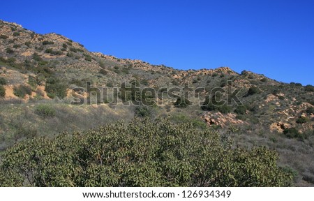 Geology on a hill side, California