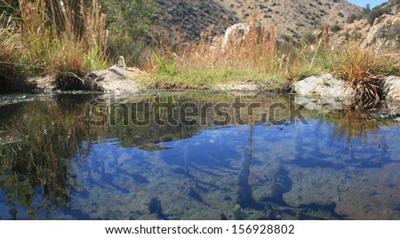 Water surface at Deep Creek Hot Springs, California