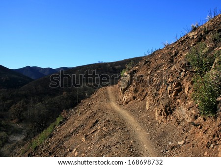 Steep trail ascending a hill side, California